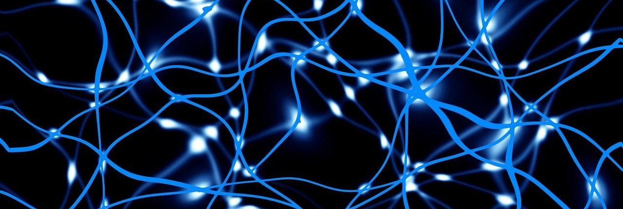 network-3492384_1280